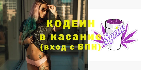ешки Арсеньев