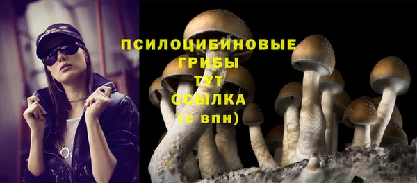 гашик Армянск