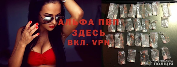 гашик Армянск