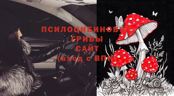ешки Арсеньев