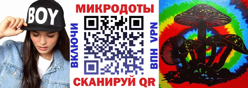 Псилоцибиновые грибы Psilocybe  цены   Пенза 