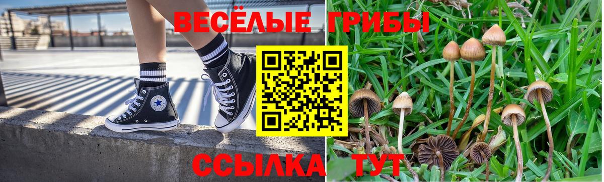 Галлюциногенные грибы GOLDEN TEACHER  купить закладку  Пенза  Вход с VPN 