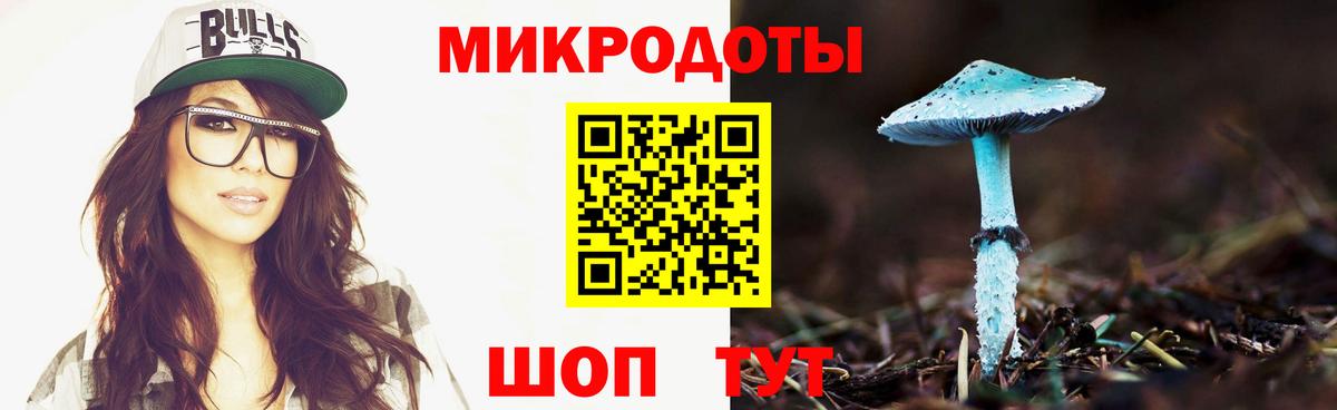 Псилоцибиновые грибы Psilocybe Пенза