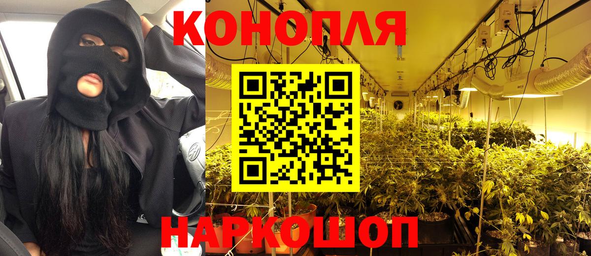 Конопля сатива Пенза